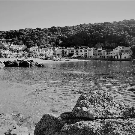 Ap Bosmar 3h - Preciosas Vistas * Pals